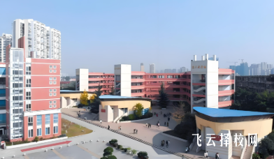 四川單招歷年錄取率對比分析