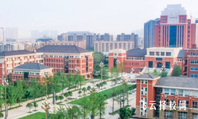 四川單招十大熱門專業就業前景