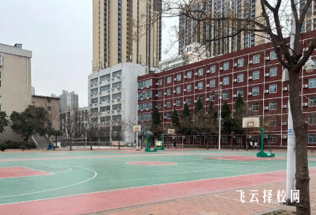 單招考試集訓速成法（四川版）