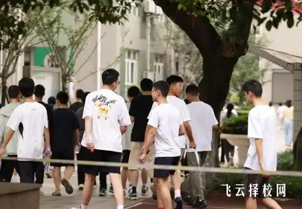 成都2025年中考錄取線：普高線、職普融通公布