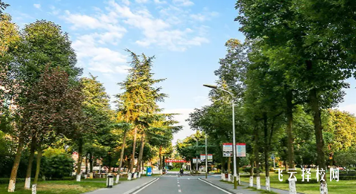 四川郵電職業(yè)技術(shù)學院2025單招錄取分數(shù)線