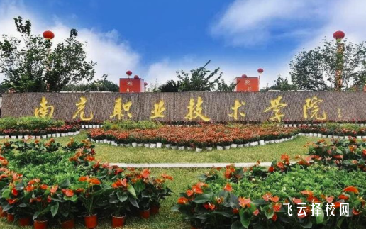 南充職業技術學院2025單招錄取分數線