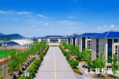 達州職業技術學院2025單招錄取分數線