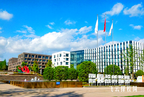 四川衛生康復職業學院2025單招錄取分數線