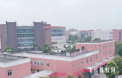 樂山職業技術學院2025單招錄取分數線