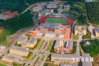 四川護理職業學院2025單招錄取分數線