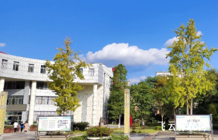 四川幼兒師范高專2025單招錄取分數(shù)線