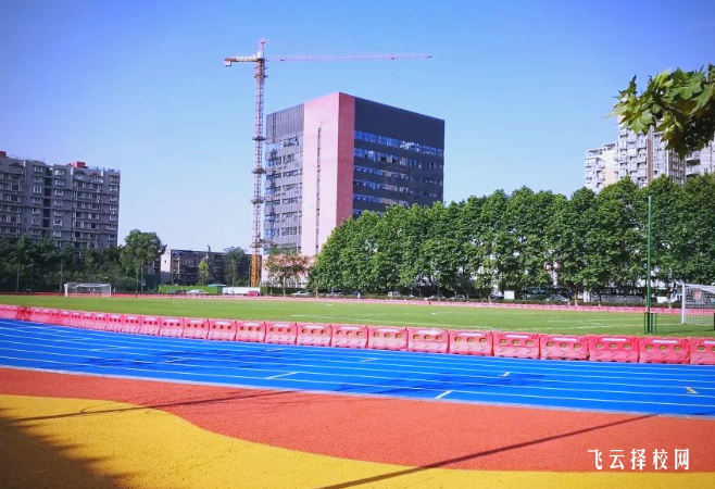 四川體育職業學院2025單招錄取分數線