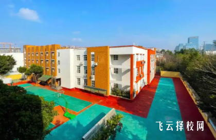 單招機構服務包含哪些？