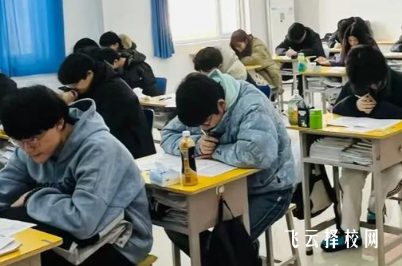 單招線上培訓效果如何？