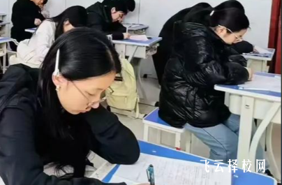 單招線上培訓效果如何?