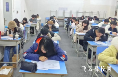 明陽單招課程內容是什么？